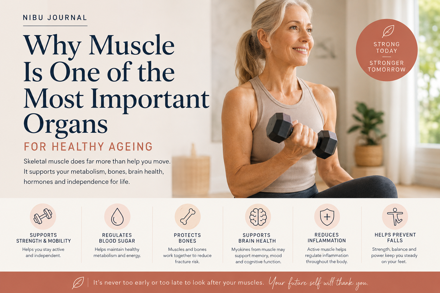 Why Muscle Is One of the Most Important Organs for Healthy Ageing
