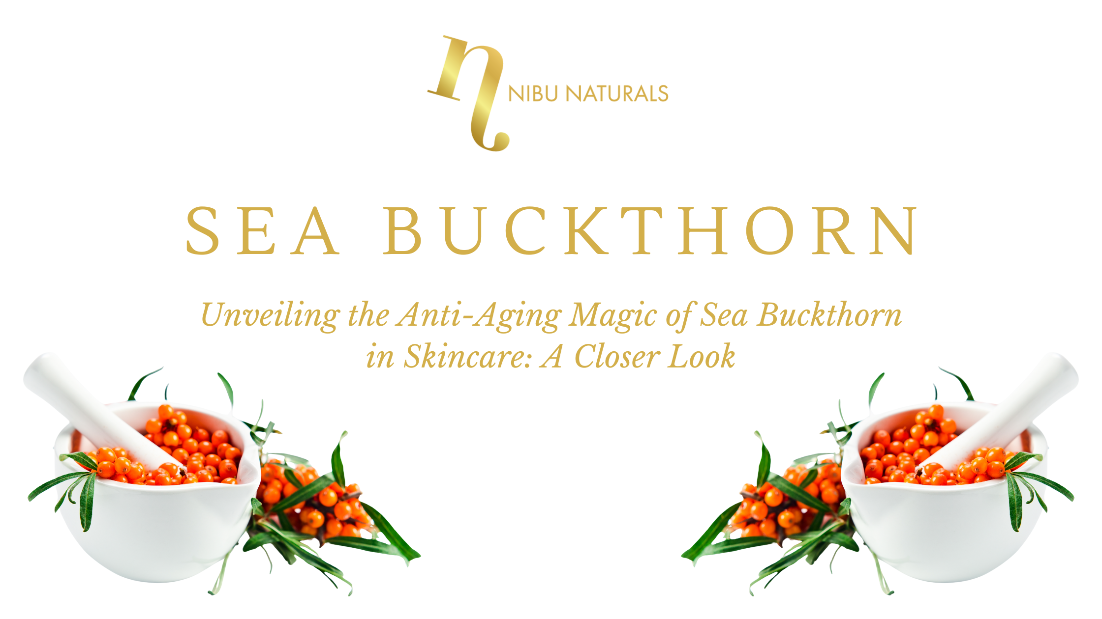 Unveiling the Anti-Aging Magic of Sea Buckthorn in Skincare: A Closer Look