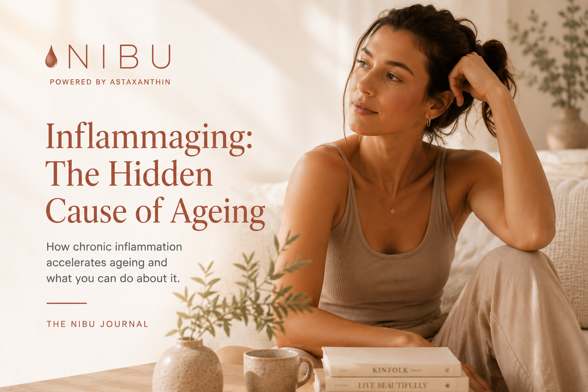 Illustration of chronic inflammation and ageing in the body with tips for reducing inflammaging naturally
