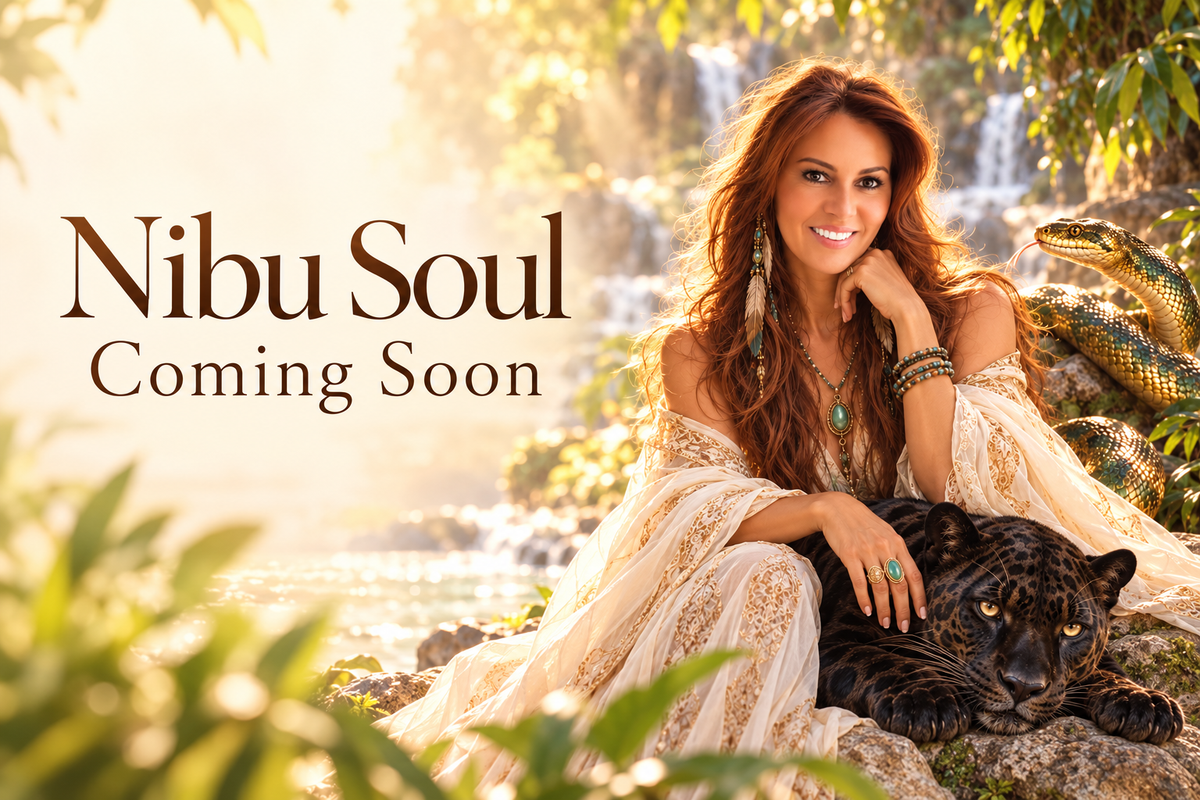 Introducing Nibu Soul: A New Chapter with Nici